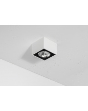 Oprawa natynkowa Solid 163.1 NT Gen.2 50W QR111 3.0651 minimalistyczna lampa sufitowa Labra