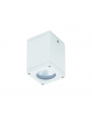 Plafon zewnętrzny Cub IP54 555E-G21X1A Dopo zewnętrzna oprawa