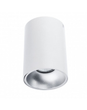 Plafon NERO biały/srebrny 1L C1255-1L WH/S Auhilon lampa sufitowa w odcieniu bieli 