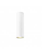 Lampa sufitowa LOYA C0461-01B-A0S8 Zuma Line punktowa oprawa w kolorze białym 