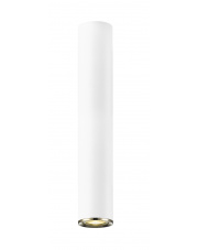 LOYA C0461-01C-A0SB lampa natynkowa w kolorze białym Zuma Line