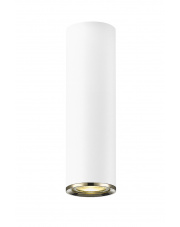 Lampa sufitowa LOYA C0461-01B-A0SB Zuma Line punktowa oprawa w kolorze białym
