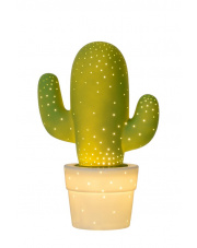 CACTUS 13513/01/33
