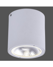 9673-16 GEORG ceiling light, white