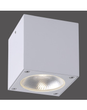 9674-16 GEORG ceiling light, white