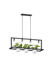 PLANTER P0536-04B-P7AB lampa wisząca w kolorze czarnym Zuma Line
